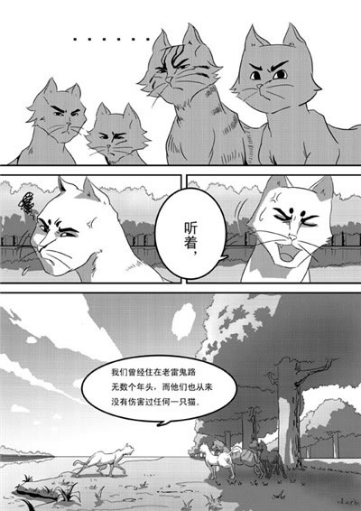 【少儿书籍批发】猫武士二部曲之4星光指路 儿童图书 正版 畅销书图片