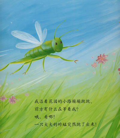 插图
