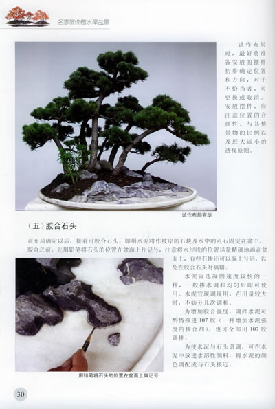 名家教你做水旱盆景-图书杂志-农业\/林业-农业