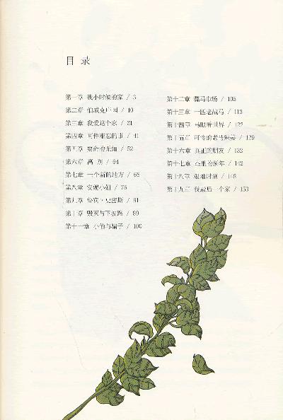 插图