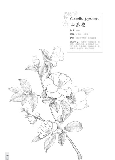Ǧ輼 ƪ(100»ܻƵҪġ