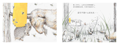 插图