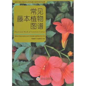 《常見藤本植物圖譜》(陶抵輝)【簡介_書評_在線閱讀】 - 噹噹圖書