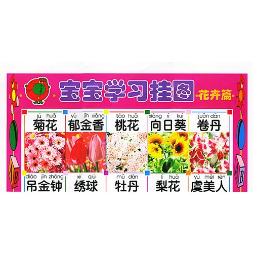 宝宝学习挂图·花卉篇(注音版)