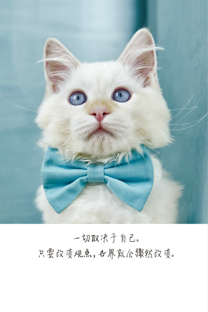 接受不完美的勇气