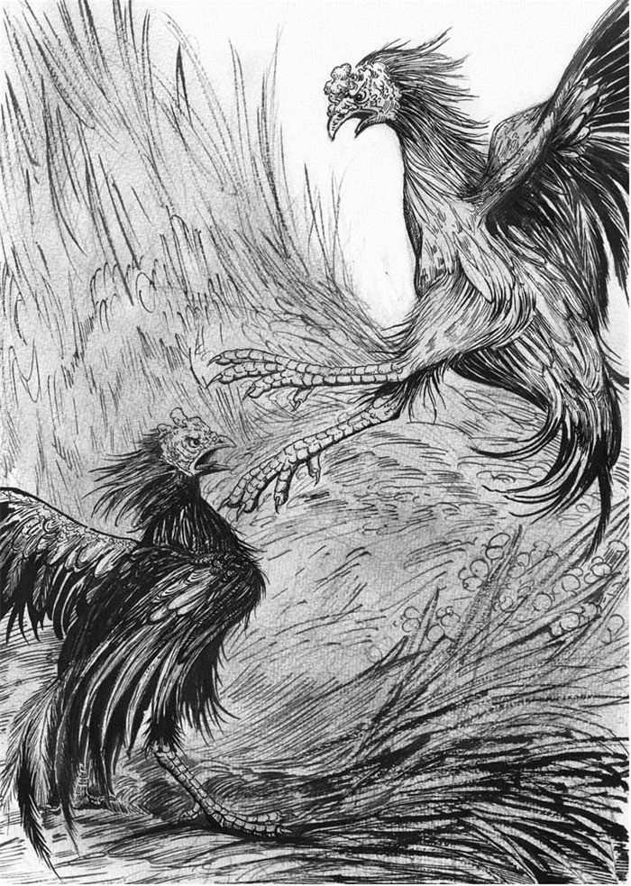 中西动物小说大王金品共读系列