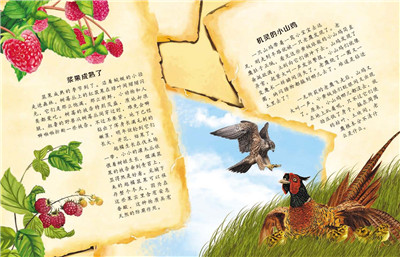 读森林报心得3篇