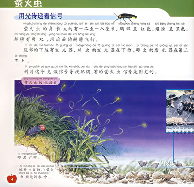 萤火虫——新法布尔自然观察法1(第一辑 昆虫王国)
