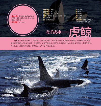 形形色色的海洋杀手